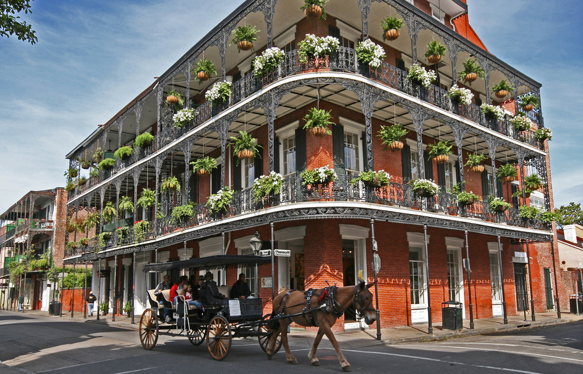 3 Night w/ Airfare Package