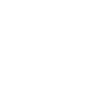 Expert Guidance icon