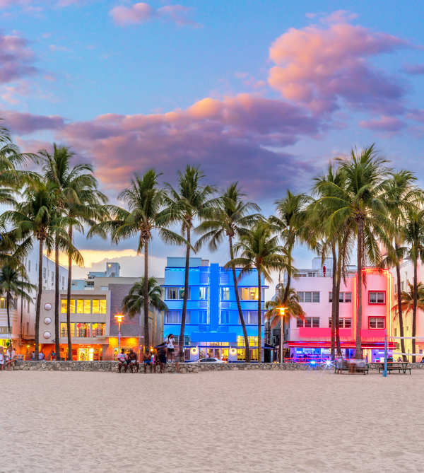 Your Miami Adventure Starts Here.